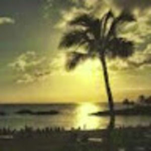 Meet your Posher, Tommy